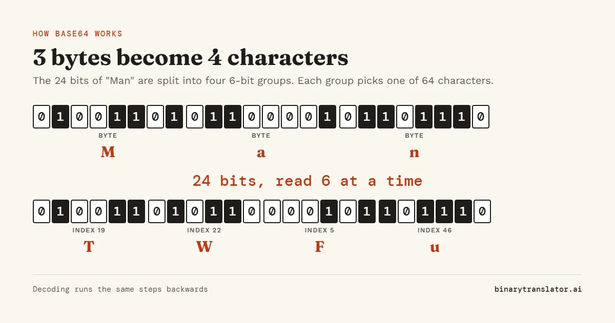 Base64 encoding of Man: the bytes 01001101, 01100001 and 01101110 form 24 bits, which split into the 6-bit groups 19, 22, 5 and 46, written as the characters T, W, F and u. So Man in Base64 is TWFu.