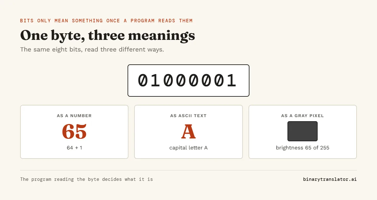 The byte 01000001 read three ways: as a number it is 65, as ASCII text it is the capital letter A, and as a grayscale pixel it is a dark gray with brightness 65 out of 255.