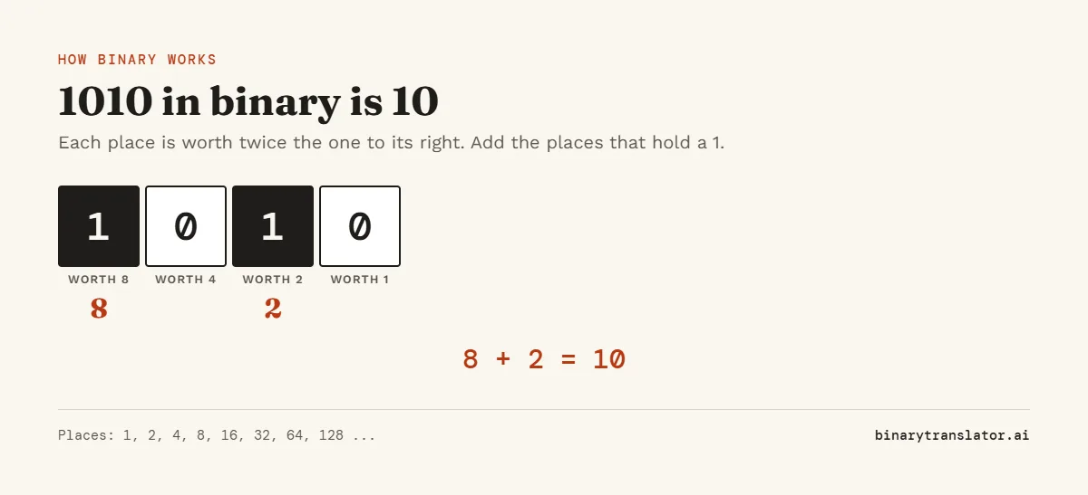 Binary place values: in 1010 the places are worth 8, 4, 2 and 1. The 1s sit in the 8 and 2 places, so 1010 is 8 plus 2, which is 10.