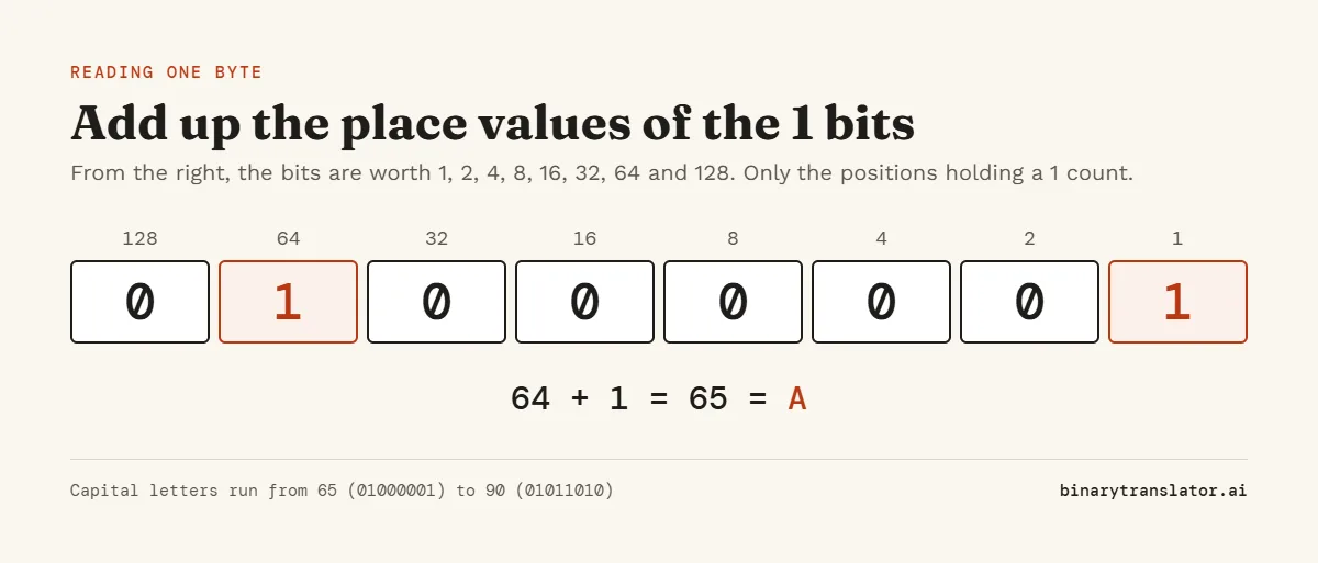 The byte 01000001 with place values 128 to 1 above each bit. The 1 bits sit at 64 and 1, which add up to 65, the ASCII code for A.
