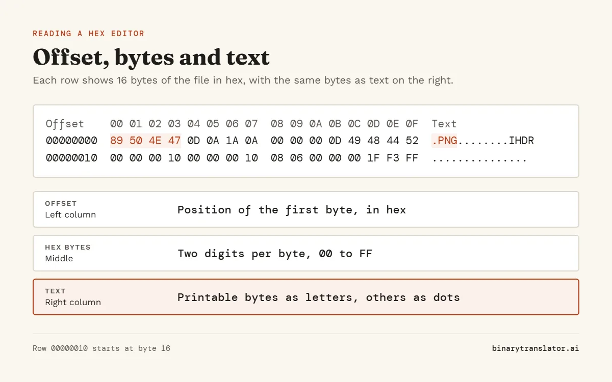 Hex editor layout: the offset column shows the position of each row, the middle shows 16 bytes as hex such as 89 50 4E 47, and the right column shows the same bytes as text, such as .PNG.