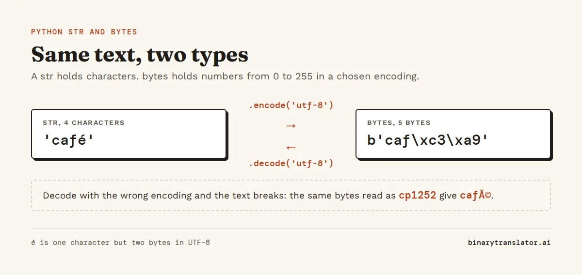 Python encode and decode: the string 'café' encoded with UTF-8 becomes the 5 bytes b'caf\xc3\xa9', and decoding them with UTF-8 gives the string back. Decoding them as cp1252 gives café instead.