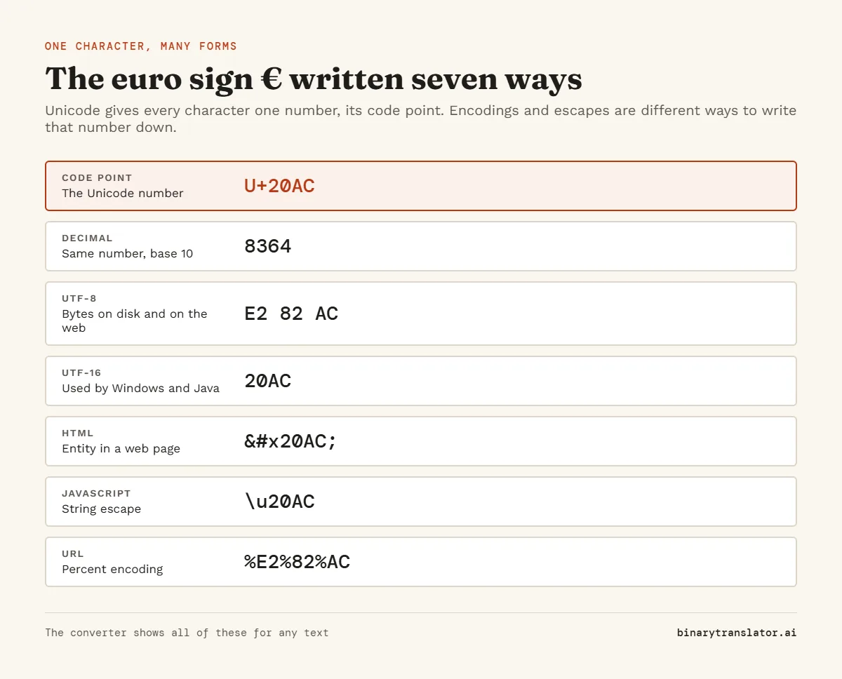 The euro sign shown in several forms: code point U+20AC, decimal 8364, UTF-8 bytes E2 82 AC, UTF-16 20AC, HTML entity €, JavaScript escape \u20AC and URL encoding %E2%82%AC.